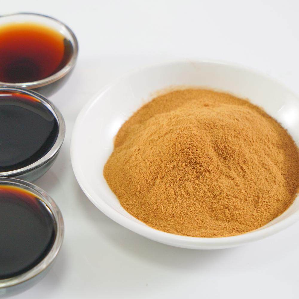 Soy Sauce Powder